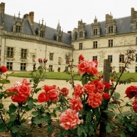 Amboise Castle,France