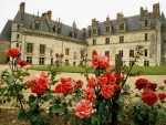 Amboise Castle,France
