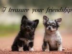 TREASURE FRIENDSHIP