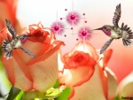 HUMMINGBIRDS WITH ROSES