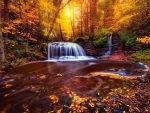 Waterfall in fall forest