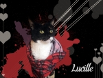 Lucille