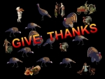 Thanksgiving
