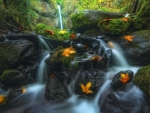Autumn Waterfalls