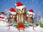 Festive Owls