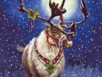 Reindeer