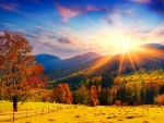 Sunny Autumn Landscape