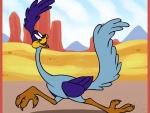 The one and only Roadrunner