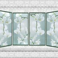 A Whiter Shade Of Pale