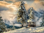 Gazebo in Winter