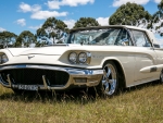 Ford Thunderbird