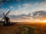 Windmill Among Field at Sunset