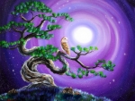 Owl in Twisted Pine Tree