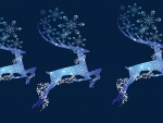 Blue Reindeer