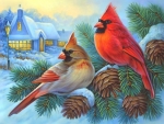 Winter Cardinals