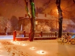 winter night