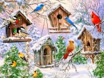 Winter Birdhouses
