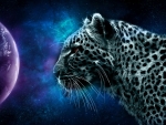 Space Leopard