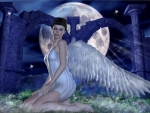 Angel's Night