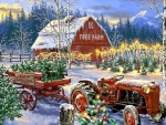 Holiday Farm