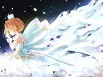 Card Captor Sakura