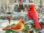 Holiday Cardinals Retreat