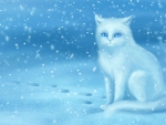 White Cat In The Snow