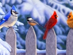 Winter Birds