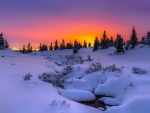 Winter Sunset