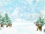 Winter Fawns