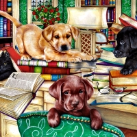 Reading Time - Pets