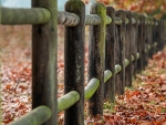 the long Fence