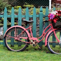 Pink Bike on Blue Fence