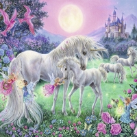 Unicorns and fairies