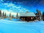 Winter Cabin