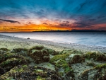 Alki Beach in West Seattle, Washington, USA