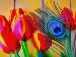 âœ¿âŠ±â€¢â•®Tulips & Featherâ•­â€¢âŠ°âœ¿