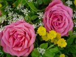 Pink Two Roses