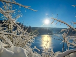 Winter Lake