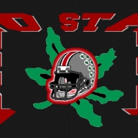 OHIO STATE HELMET ON A BUCKEYE LEAF