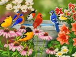 Songbirds birdbath