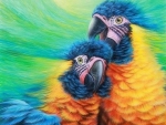 Parrots in Love