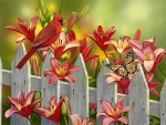 Cardinal and lilies