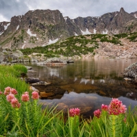 Spring in the mountain