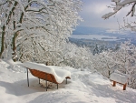 Bench under the Snow