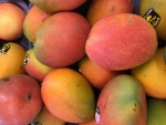 Mangoes