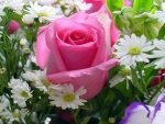 Pink Rose With Other Flowers