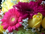 Purple Yellow Gerbera and Roses