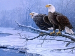 Bald Eagles on the Branch