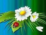 Daisy and Ladybug